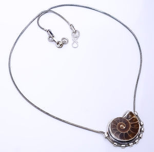 CLEONICERAS CLEON AMMONITE - FOSSIL  925 STERLING SILVER CHAIN PENDANT 19-23" - CP_9269_108_29